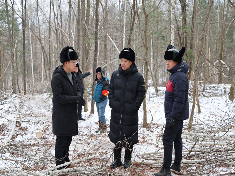 1765421179441404.jpg 9d65890e746f77ea7aacf5a7b04e09b6_副本.jpg