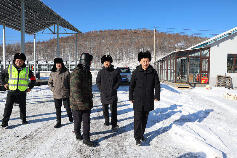 1767143952959804.jpg 2bff97899a615882f8f2fc4c02ae04cf_副本.jpg