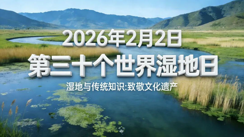 1770015639425377.jpg 640_副本.jpg